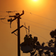 Workers repair power lines damaged during the Bond Fire in the Silverado Canyon area of Orange County on December 3, 2020 near Irvine, California. The 4,000-acre wildfire broke out along with a number of other fires in Southern California amid gusty Santa Ana winds in the region.